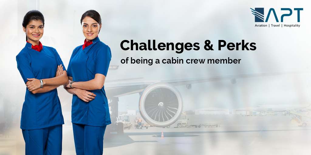 cabin crew member